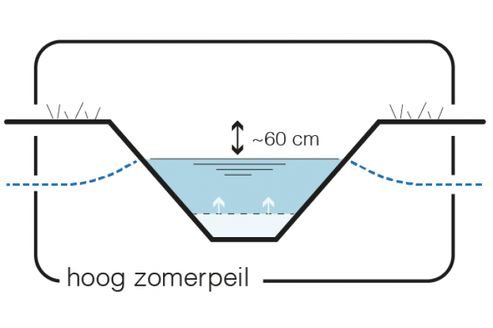 Maatregel 2 Peilverhoging - hoog zomerpeil